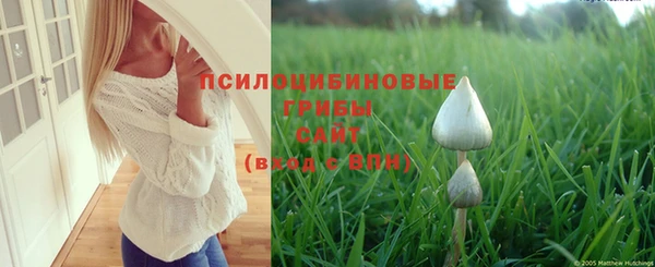 apvp Балахна
