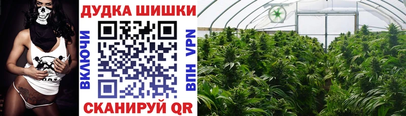 Купить закладки  Ивангород  Марихуана индика 